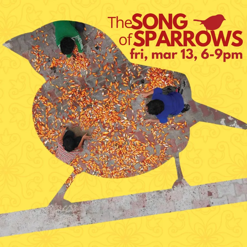 Soulbright Movie Night | The Song Of Sparrows