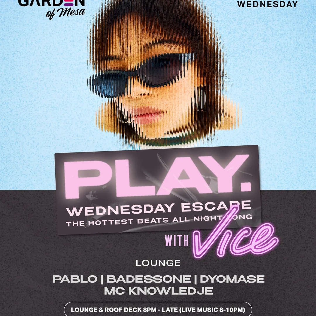 Play With Vice