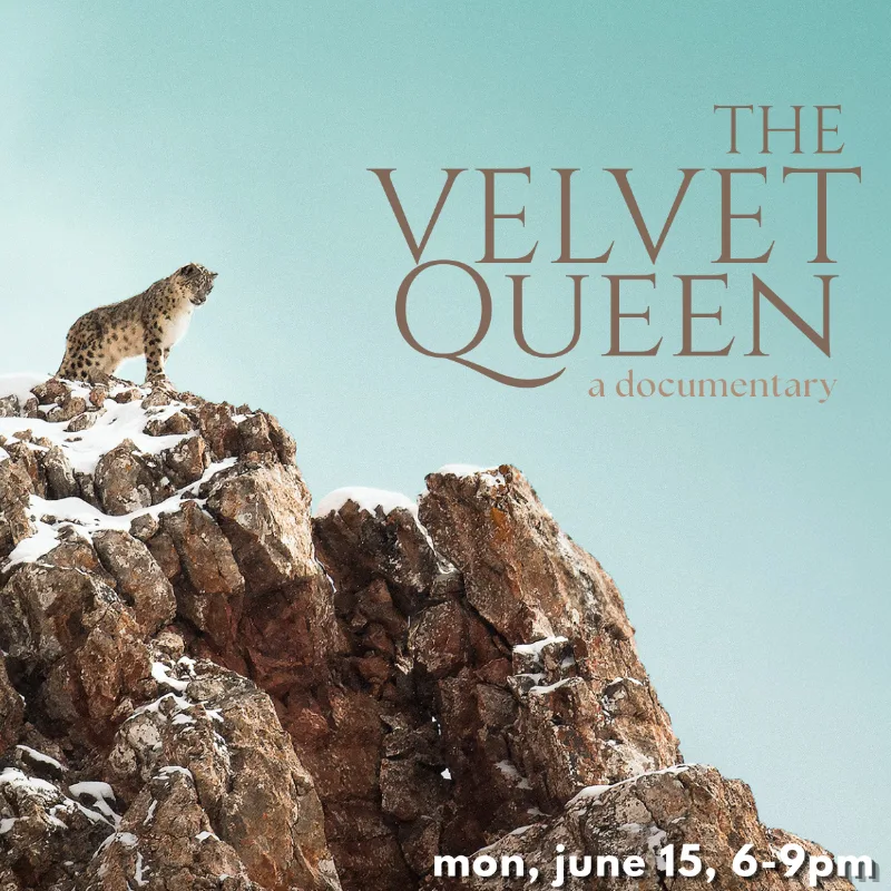 Soulbright Movie Night | The Velvet Queen