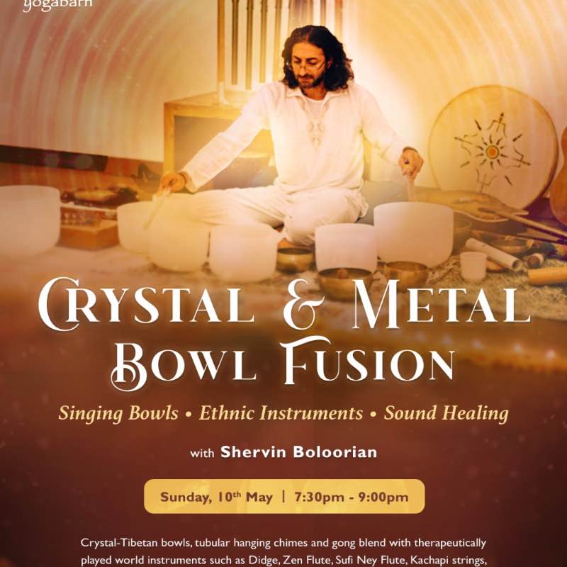Crystal & Metal Bowl Fusion