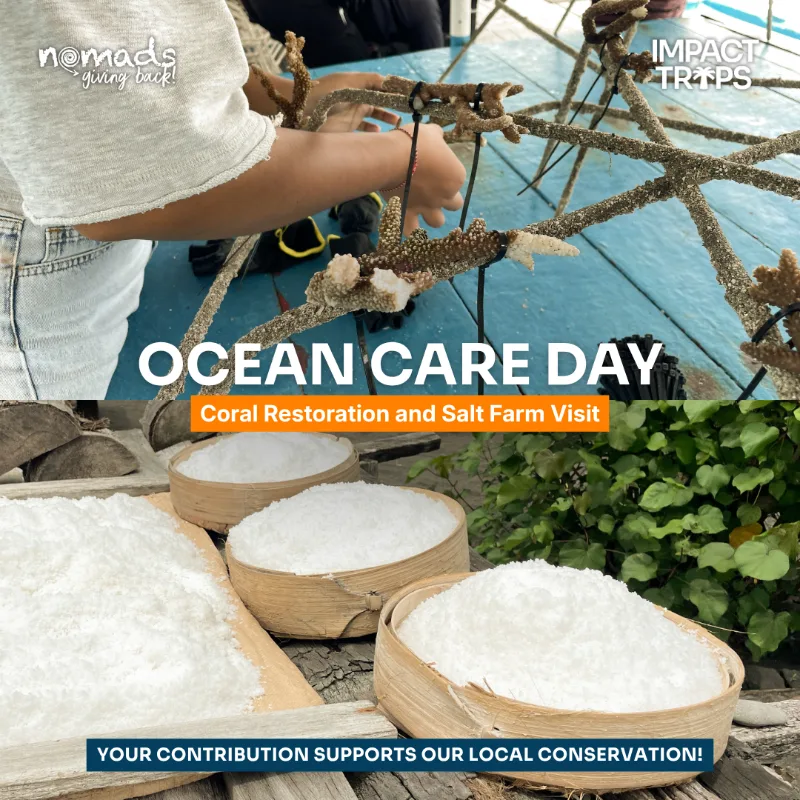 Coral Restoration & Salt Farm Visit