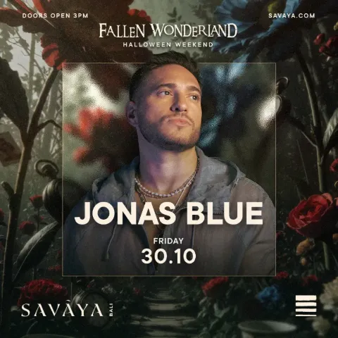 Fallen Wonderland - Jonas Blue