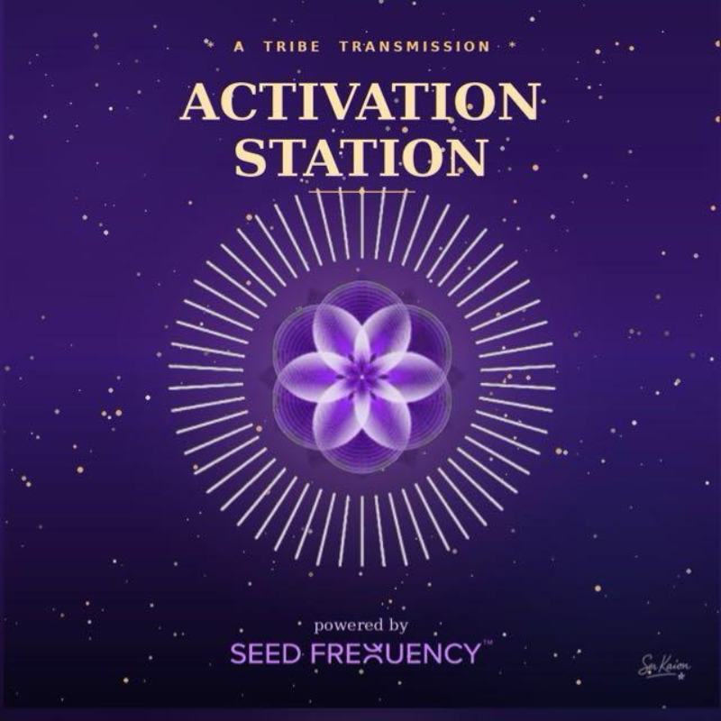 Activation Station - Holographic Healing